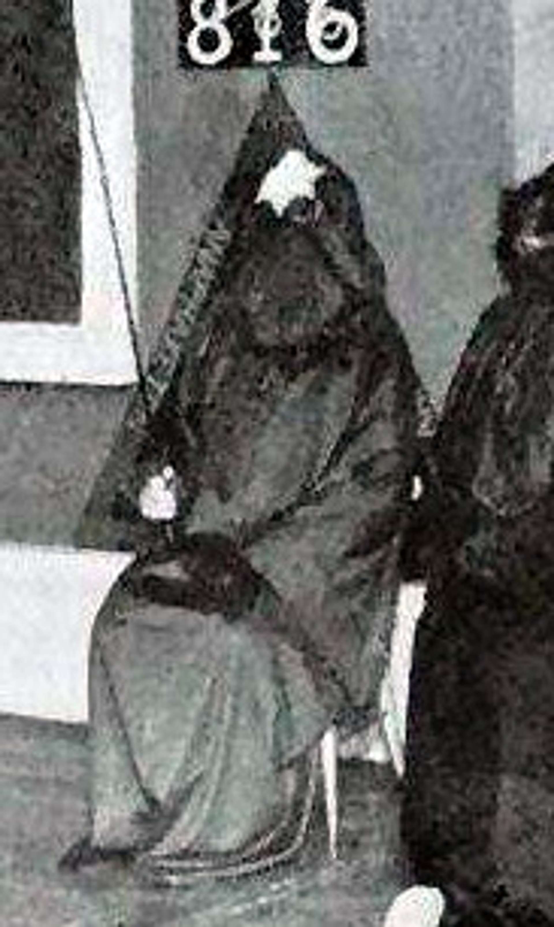 Photo of a person wearing a possible Practicus robe